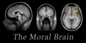 Moral Brain
